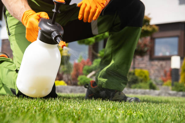 Best Insect Control  in Friendswood, TX