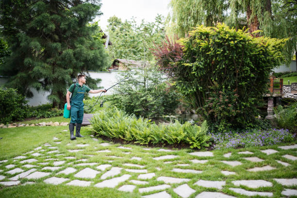 Best Wasp Removal Services  in Friendswood, TX