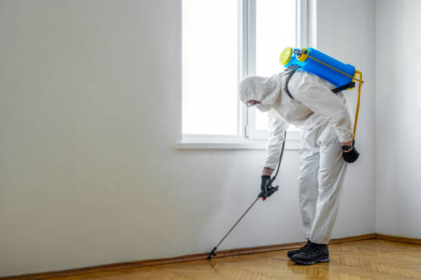 Best Emergency Pest Control  in Friendswood, TX