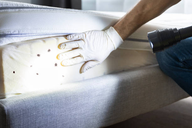 Best Affordable Exterminators  in Friendswood, TX