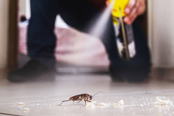 Best Pest Prevention Services  in Friendswood, TX