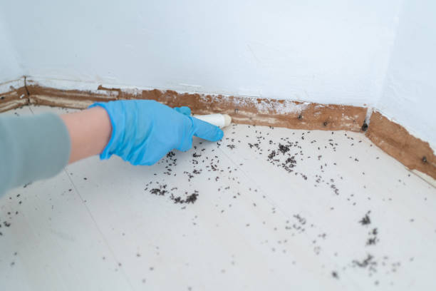 Best Best Pest Control Companies  in Friendswood, TX