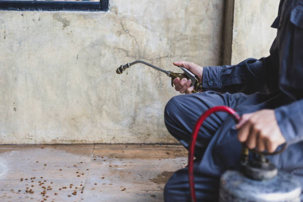 Best Commercial Pest Control Services  in Friendswood, TX